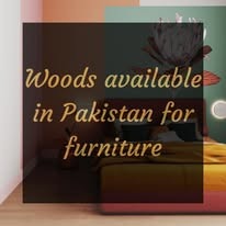 Custom furniture and woodwork by Magnify Studio