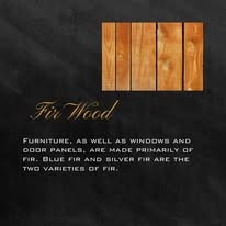 Fir wood texture