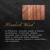 Hemlock wood texture